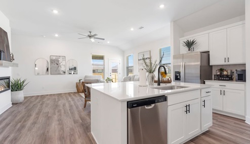Kitchen Island and Living Room