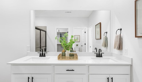 Primary Vanity