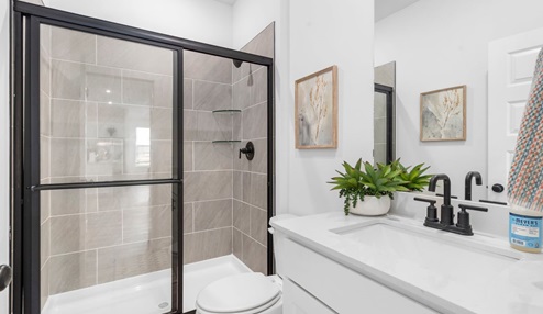Primary Shower