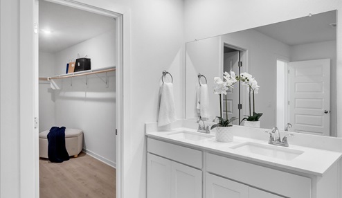 Primary Vanity
