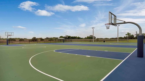 Outdoor basketball court Amenity.