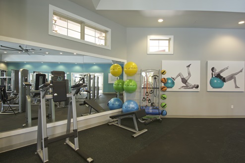 Fitness center with Cardio and pilate balls.