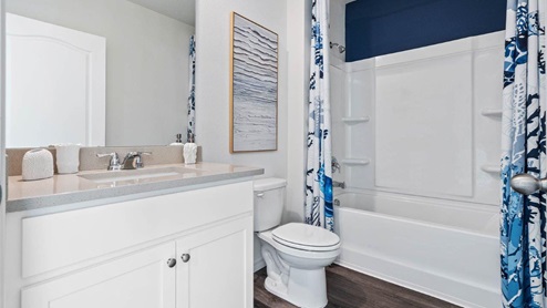 Guest bathroom with tub