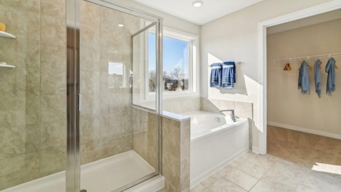 master bathroom glass shower