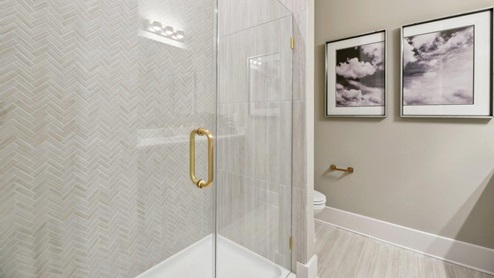 Hampton II Single Family Home White Contemporary Interior