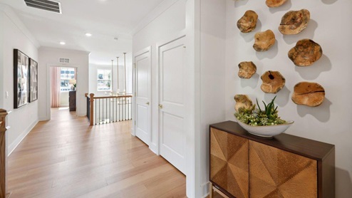 Hampton II Single Family Home White Contemporary Interior Entry