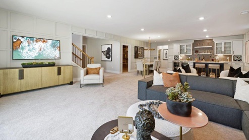 Hampton II Single Family Home White Contemporary Interior Basement