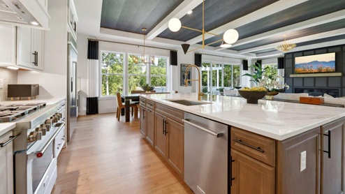 tray ceiling