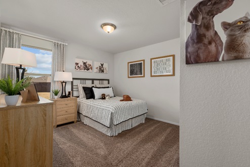 Rockbridge Model Home secondary bedroom with carpeted flooring and window.