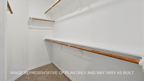 Dakota primary walk-in closet with carpeted flooring.
