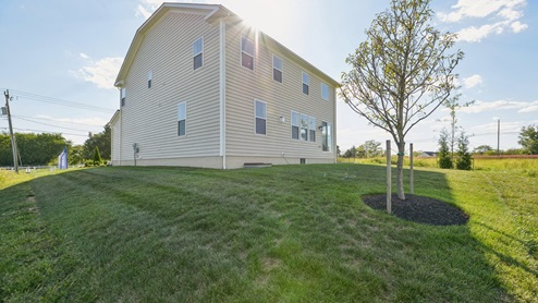 Back exterior of the house