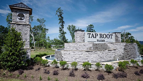 Tap Root Amenity Photos