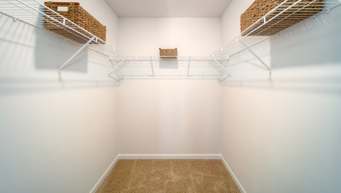 Primary bedroom walk in closet with carpet and built in hanging racks