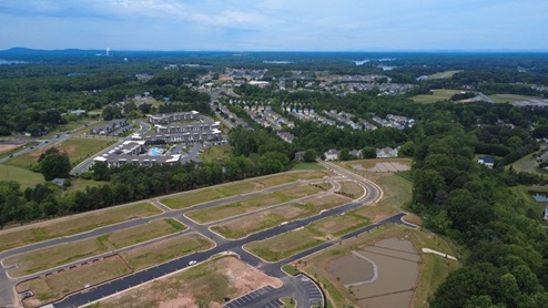 community birds eye
