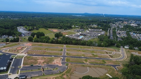community birds eye