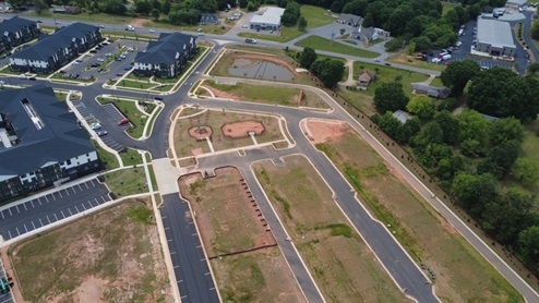 community birds eye
