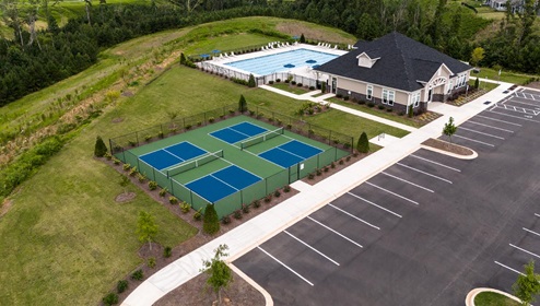 Chestnut at Laurelbrook Aerial Amenities