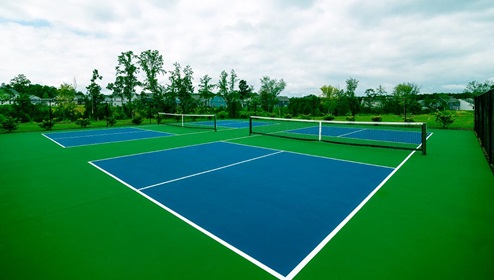 Chestnut at Laurelbrook Aerial Pickleball Amenities