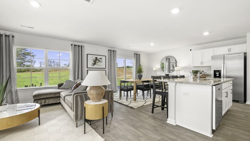 kitchen and living room