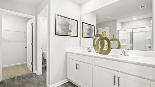 double sinks primary