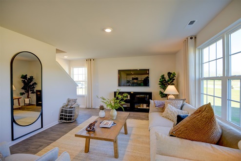 living room with vinyl floors and natural light