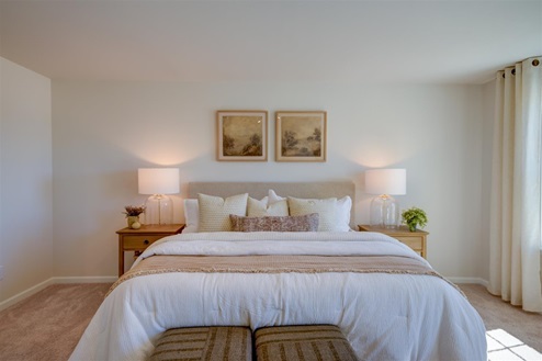 bedroom with carpet and natural light