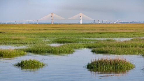 Marsh Golden Isles