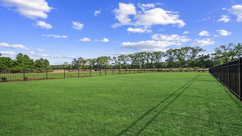 Dog park