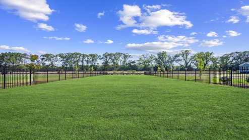 Dog Park
