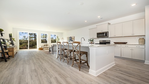 Tillman kitchen with overview