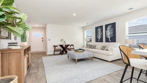 Perry living room with rug