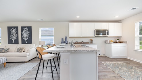 Perry kitchen overview