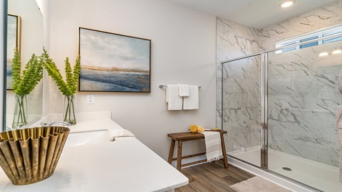 primary bathroom
