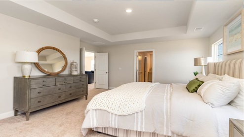 primary bedroom with tray ceilings