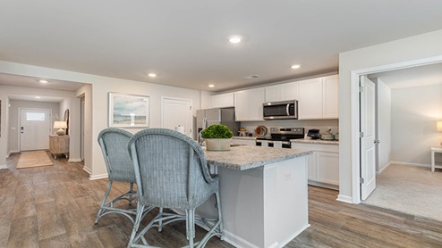 Aria kitchen overview