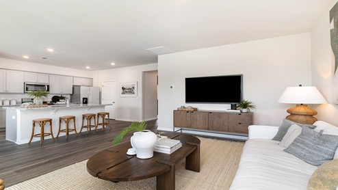 living room overview