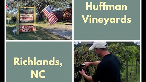 What a great little winery with a surprisingly large selection of good wines! The tasting room is small, but beautifully decorated with art and items for sale.