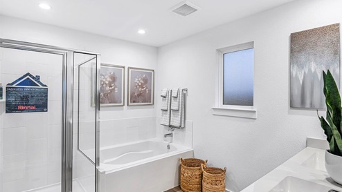 spacious beautiful seperate tub and shower