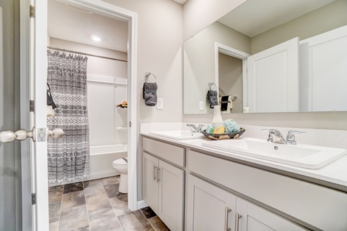 master bathroom sink