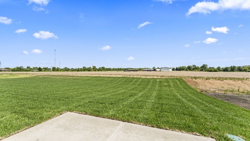 View of backyard from the patio.