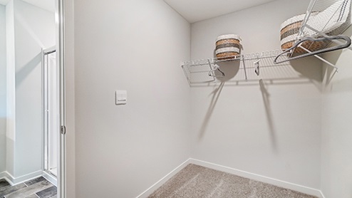Bellamy Primary Closet