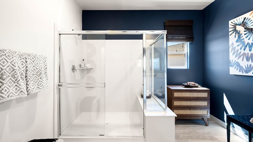 Luxurious walk-in shower with bench
