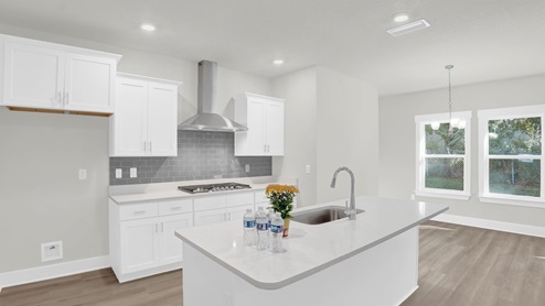 Avery new home interior.