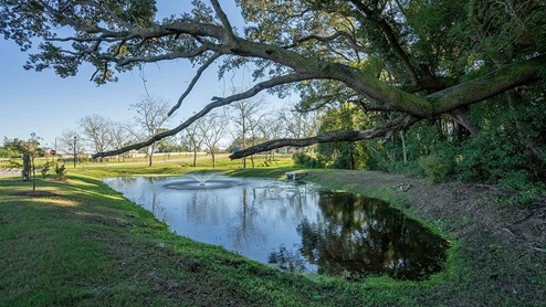 Harvest Green West Amenities.