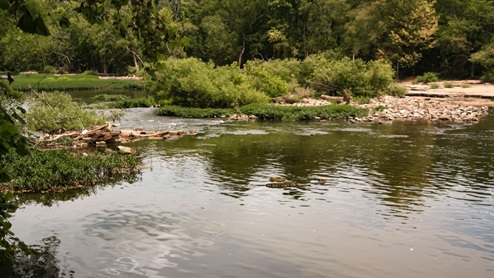 River Landing river access behind community