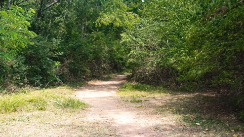River Landing trail access behind community