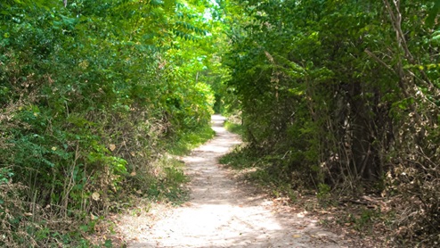 River Landing trail access behind community