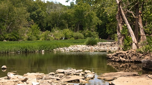 River Landing river access behind community