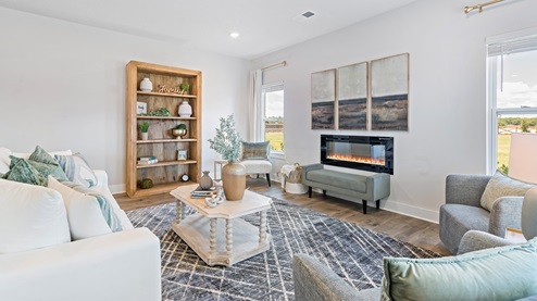 living-room