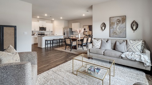Living room open to the other main living spaces